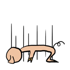 Big head pig sticker #6224161