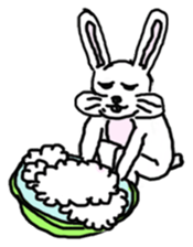 Wonder bunny sticker #6224754