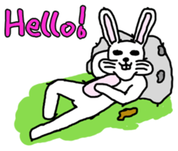 Wonder bunny sticker #6224768