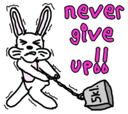 Wonder bunny sticker #6224773