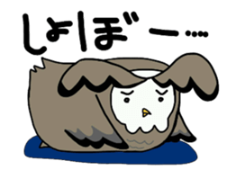 TWo  owls sticker #6224915