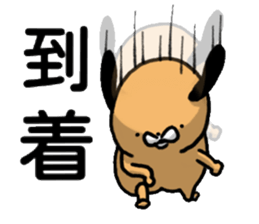 The life of adorably ugly dog 2 sticker #6227168