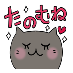 Cute and Convenience 3