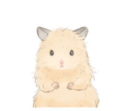 Daily Golden hamster sticker #6230795