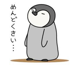 Cute emperor penguin chicks sticker #6231146