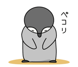 Cute emperor penguin chicks sticker #6231148