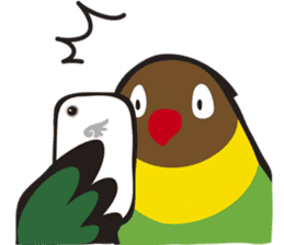 With Masked lovebird Sticker sticker #6232083