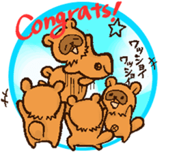 Birthday,Congratulations! Raccoon dogs sticker #6234857