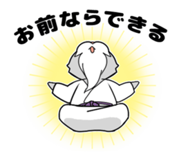 Cat of the hermit sticker #6234978