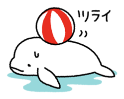 Finless black porpoise sticker #6240785