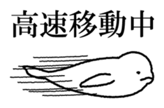 Finless black porpoise sticker #6240801