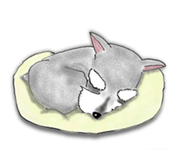 Day-to-day Schnauzer sticker #6241432