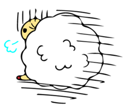 sheep and goats sticker #6242085