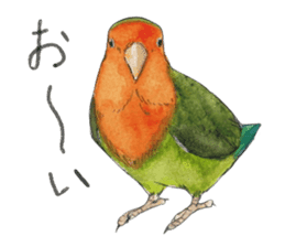 Pii-chan of the lovebird sticker #6243093