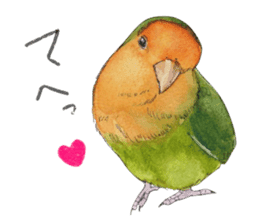 Pii-chan of the lovebird sticker #6243095