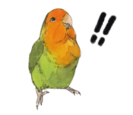 Pii-chan of the lovebird sticker #6243097