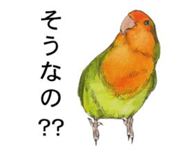 Pii-chan of the lovebird sticker #6243098