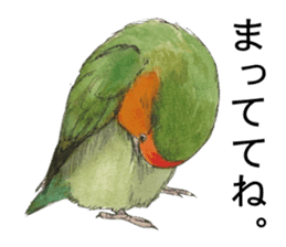 Pii-chan of the lovebird sticker #6243100
