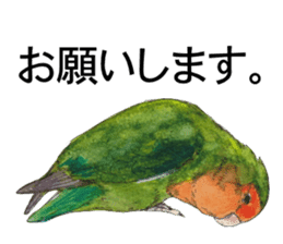 Pii-chan of the lovebird sticker #6243104