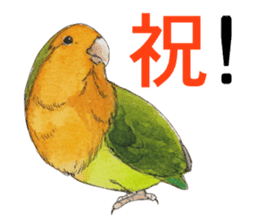 Pii-chan of the lovebird sticker #6243107