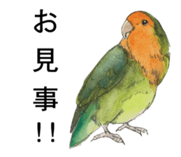 Pii-chan of the lovebird sticker #6243108