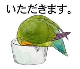 Pii-chan of the lovebird sticker #6243110