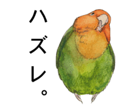 Pii-chan of the lovebird sticker #6243112