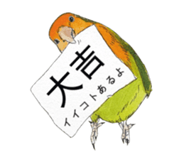 Pii-chan of the lovebird sticker #6243113