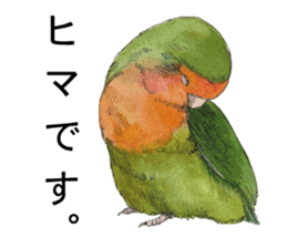 Pii-chan of the lovebird sticker #6243114