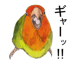 Pii-chan of the lovebird sticker #6243117