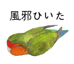 Pii-chan of the lovebird sticker #6243121