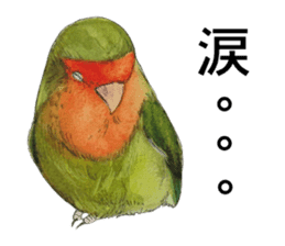 Pii-chan of the lovebird sticker #6243123