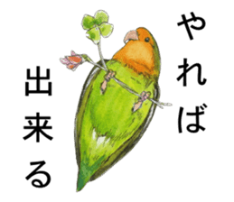 Pii-chan of the lovebird sticker #6243127