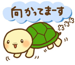 KAMETA(turtle) 2 sticker #6243424
