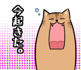 Everyday second round of cat sticker #6244929