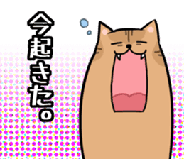 Everyday second round of cat sticker #6244929