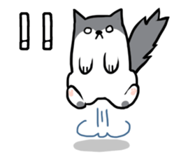 Everyday second round of cat sticker #6244930