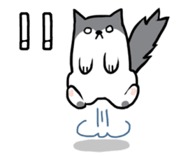 Everyday second round of cat sticker #6244930