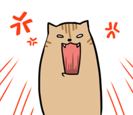 Everyday second round of cat sticker #6244931