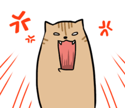 Everyday second round of cat sticker #6244931