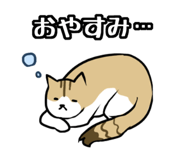 Everyday second round of cat sticker #6244932