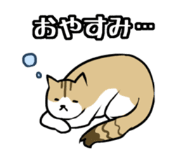 Everyday second round of cat sticker #6244932