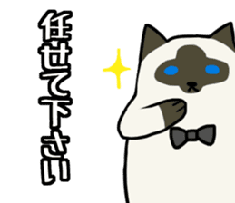 Everyday second round of cat sticker #6244933