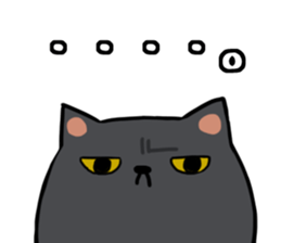 Everyday second round of cat sticker #6244935