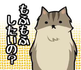 Everyday second round of cat sticker #6244939