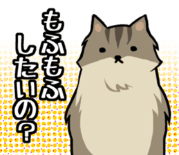 Everyday second round of cat sticker #6244939