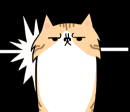 Everyday second round of cat sticker #6244942