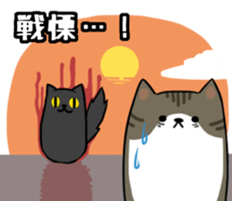 Everyday second round of cat sticker #6244943