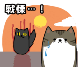 Everyday second round of cat sticker #6244943