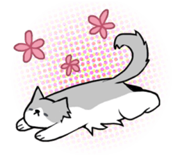 Everyday second round of cat sticker #6244945